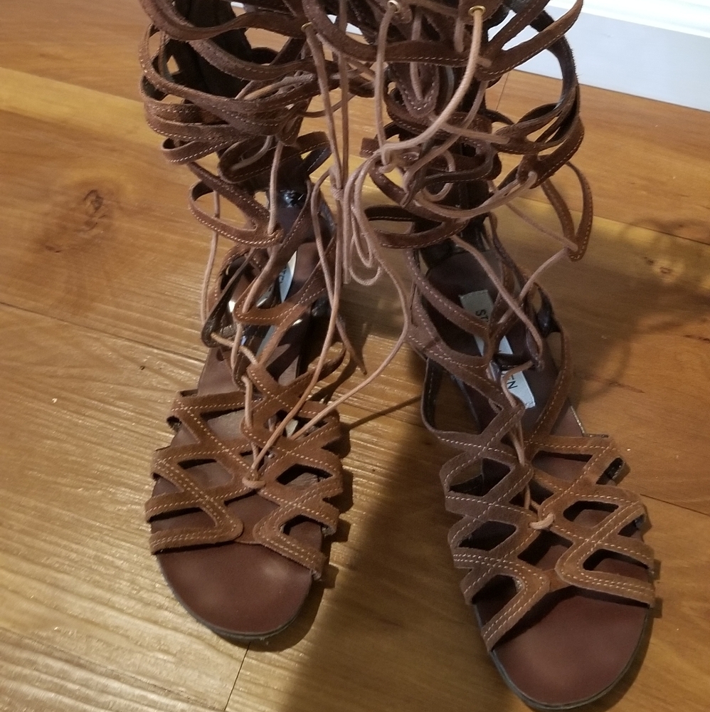 Steve Madden gladiator sandals